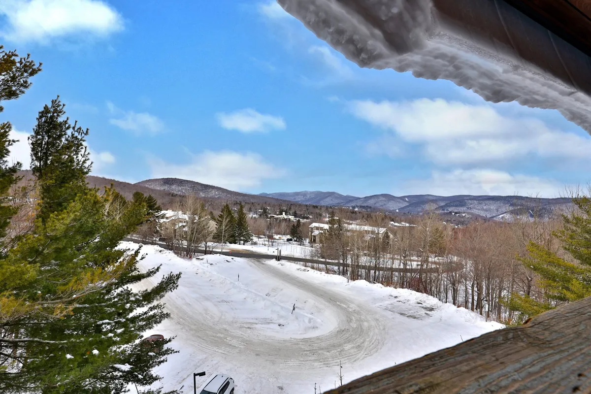 A sweeping view of Vermont's snow-covered mountains, framed by evergreen trees and a gently curving road. Distant houses are visible, suggesting a peaceful community nestled within the landscape. The scene captures the essence of outdoor adventure and natural beauty, ideal for dog-friendly hikes and exploration.